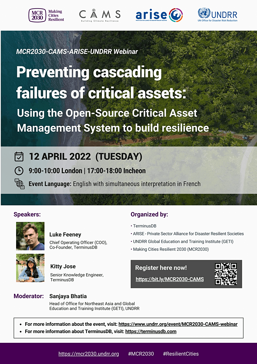 Flyer for MCR2030-CAMS-ARISE-UNDRR Webinar